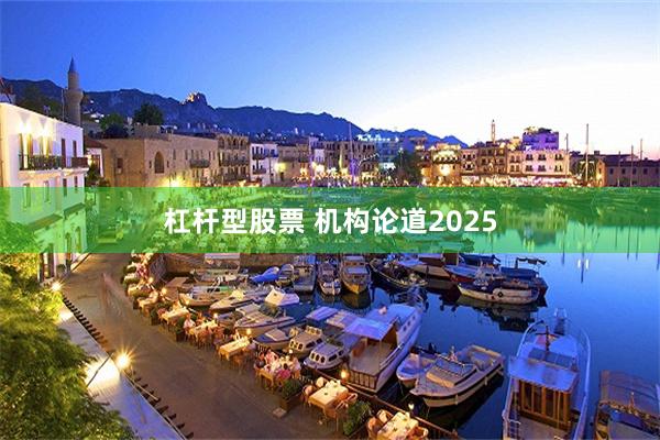 杠杆型股票 机构论道2025