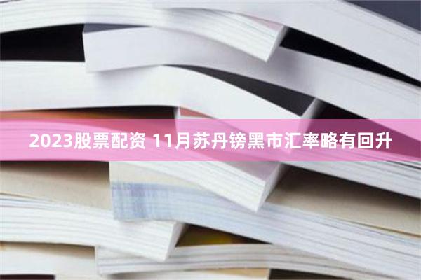 2023股票配资 11月苏丹镑黑市汇率略有回升