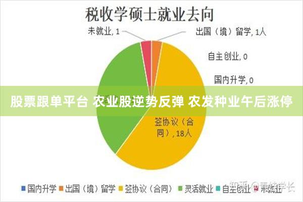 股票跟单平台 农业股逆势反弹 农发种业午后涨停