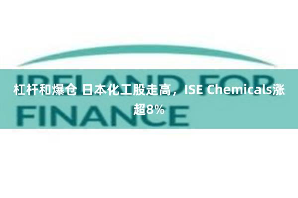 杠杆和爆仓 日本化工股走高，ISE Chemicals涨超8%