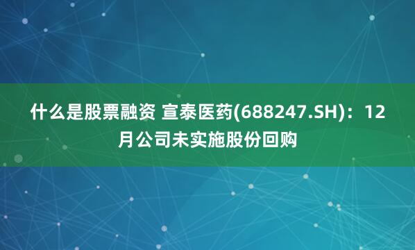 什么是股票融资 宣泰医药(688247.SH)：12月公司未实施股份回购