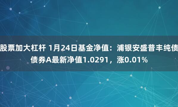 股票加大杠杆 1月24日基金净值：浦银安盛普丰纯债债券A最新净值1.0291，涨0.01%