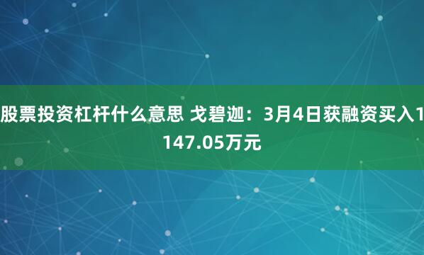 股票投资杠杆什么意思 戈碧迦：3月4日获融资买入1147.05万元