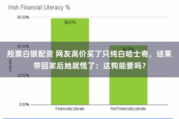 股票白银配资 网友高价买了只纯白哈士奇，结果带回家后她就慌了：这狗能要吗？