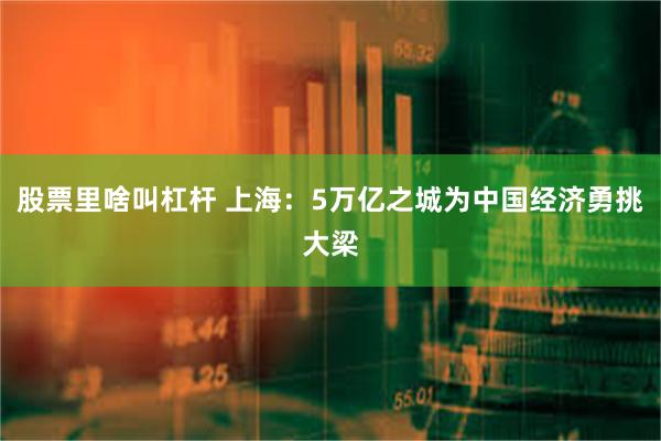 股票里啥叫杠杆 上海：5万亿之城为中国经济勇挑大梁